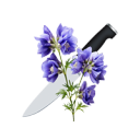 aconiteconsumed avatar