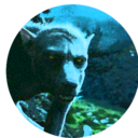 aconxte-archive avatar