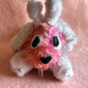 acornboymiles avatar