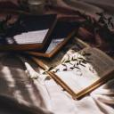 acourtofbooksanddragons avatar