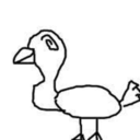 acrazypigeon avatar