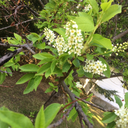 acreativebitch avatar