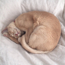 acreativeusernametm avatar