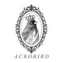 acrobird-blog avatar