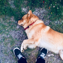 actavisnights avatar