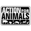 action4animals avatar