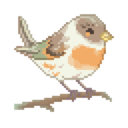 actionbird avatar