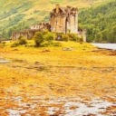 actionhankbeard avatar