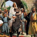 active-antelope avatar