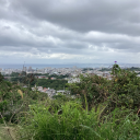 activeonoccasion avatar