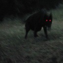 actual--cryptid avatar