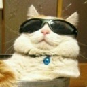 actual-legit-trash avatar