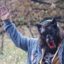 actualbruise-blog avatar