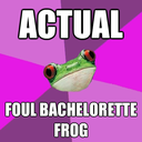 actualfoulbachelorettefrog avatar