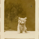 actually-cole avatar