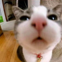 actually-soup avatar