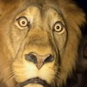 actuallyalina avatar