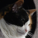 actuallyanimetrash avatar