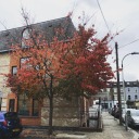 actuallyautumnalways avatar