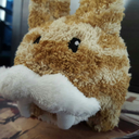 actuallyawalrus avatar