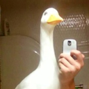 actuallyfreeze avatar