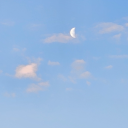 actuallysome1 avatar