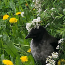 actuallytired avatar