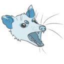 actualopossum avatar