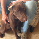 actualtruthmatters avatar