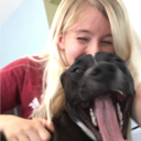 acuteguyinabowtie avatar