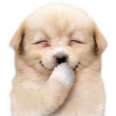 acutelittleangle avatar