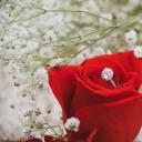 acvrosstheuniverse avatar