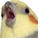 ad-astra-ab-absurdum-blog-blog avatar