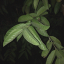 adams-rad-blog avatar