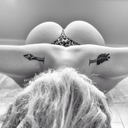 adarktalecollector avatar