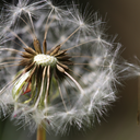 adarktimeslove avatar