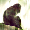 adathespacepod avatar