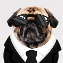 addicted-to-a-dream avatar