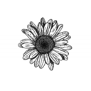 addictedscars avatar