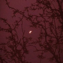 addictedtoana avatar