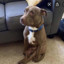 addictedtoeren avatar