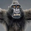 addictedtoseriesandmovies avatar