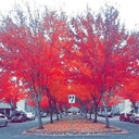 addictedtotouch-me-blog avatar