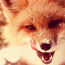 addictedtoworlds avatar