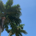 addictsfantasies avatar