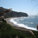 adding--to--the--noise avatar