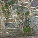 addysbrokenmind avatar