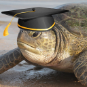 adecadentturtlestudent avatar