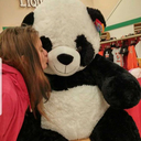 adeerforadear avatar