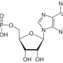 adenosinemonophosphate avatar